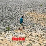 El Niño khiến thị trường gạo thêm nhiều căng thẳng 