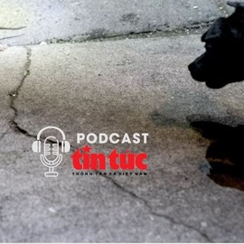 Góc lạ thế giới: 'Biệt đội chó mèo' chuyên săn chuột ở thủ đô Mỹ